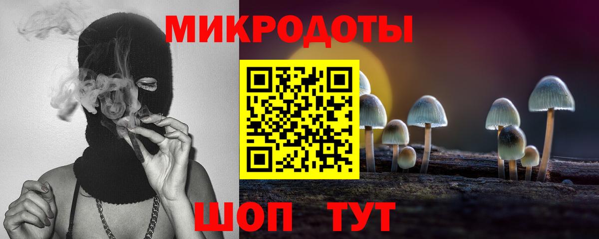 Черкесск  Псилоцибиновые грибы Psilocybine cubensis  Вход с VPN 
